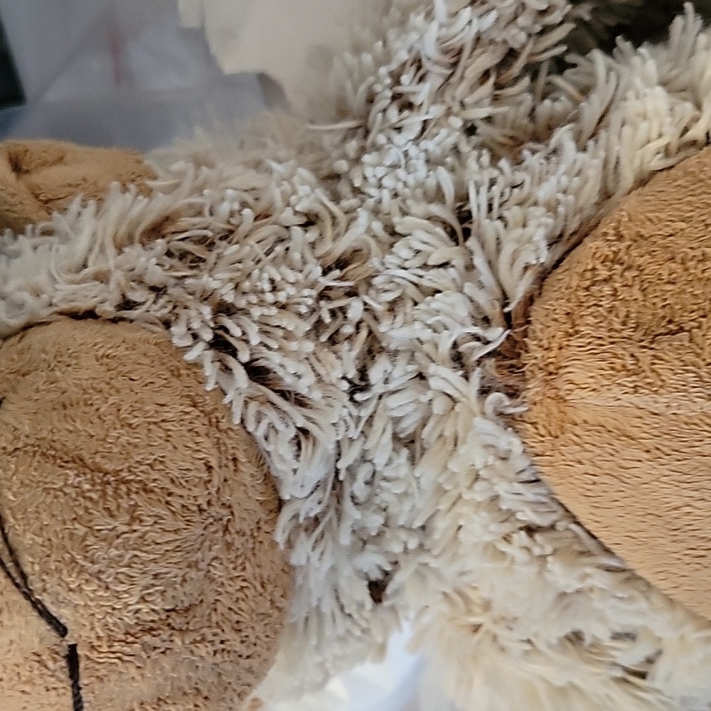 Stuffed Monkey - Picture 6 of 9